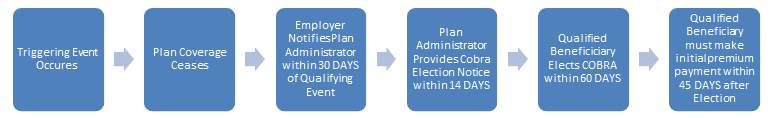 A diagram showing how to get an appointment for the election.